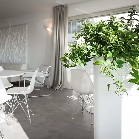 Commodore تّشيرفييا