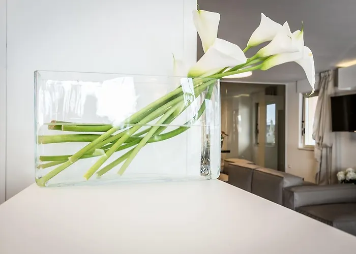 Hotell Commodore Cervia