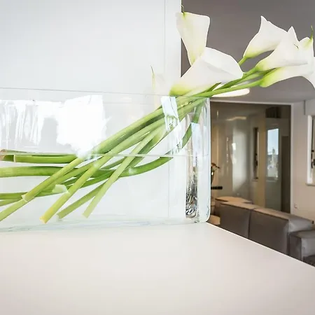 Hotel Commodore Cervia